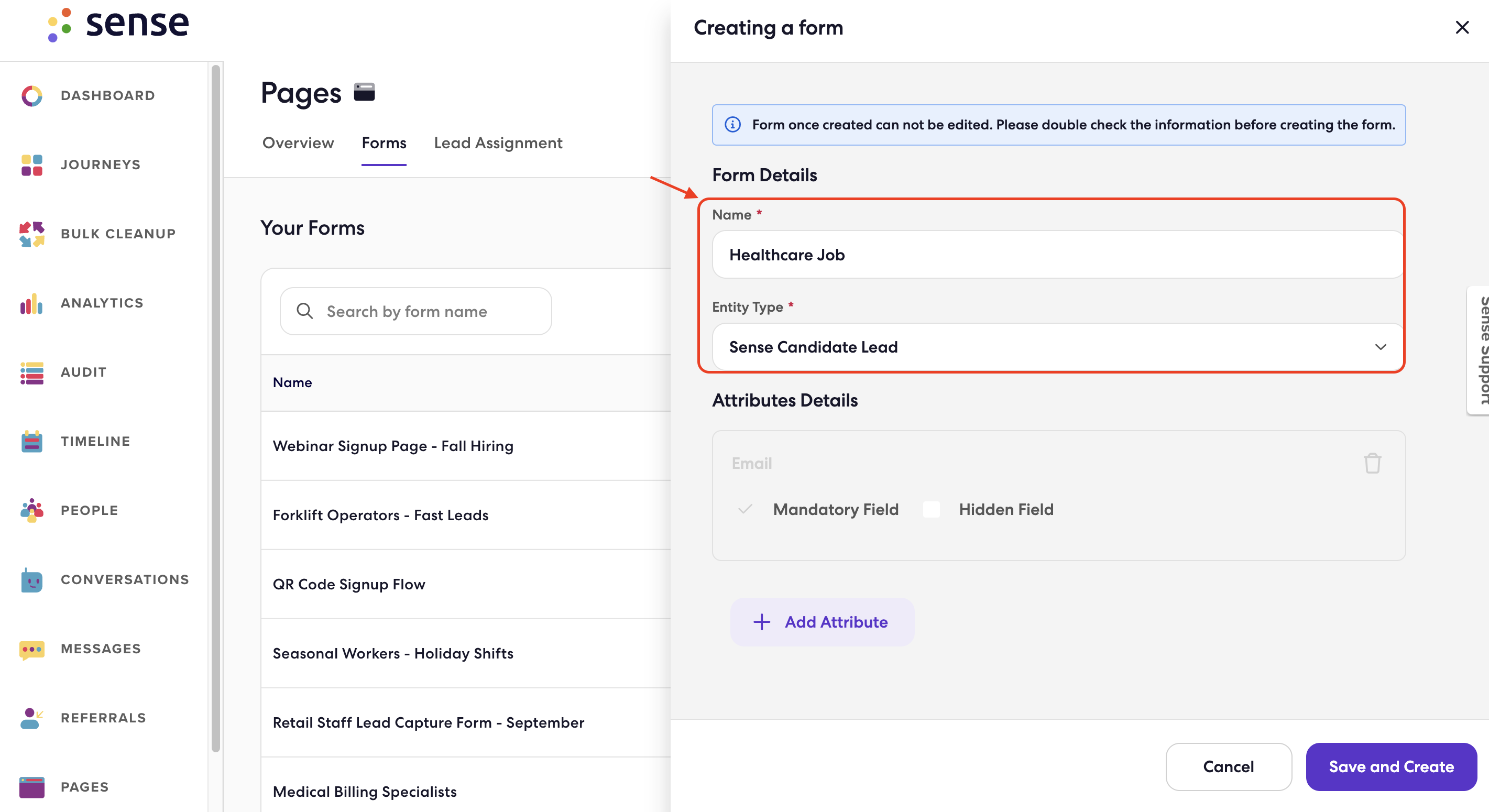 Form Name & Entity Type.png