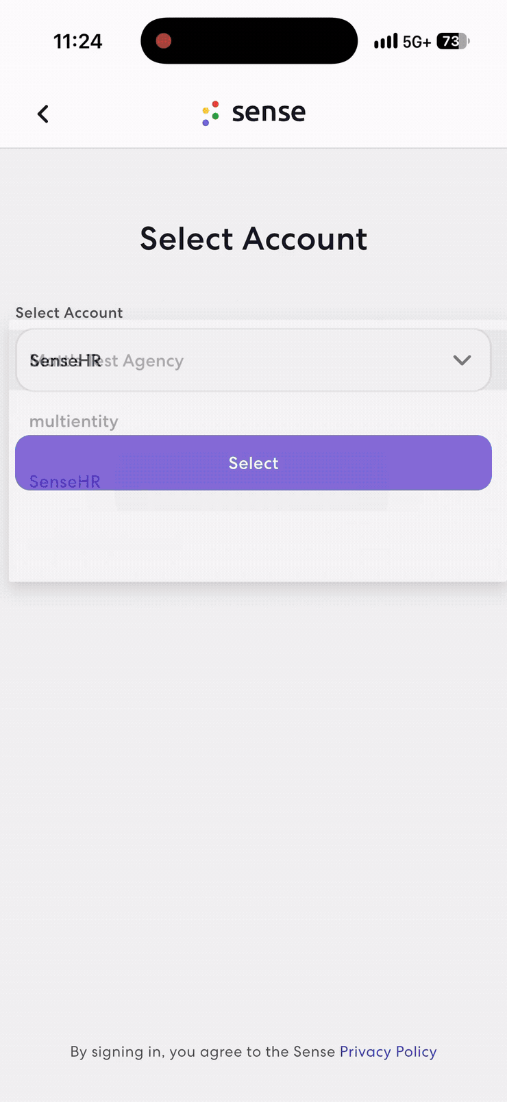 sense_login_flow_0-33_blurred_19MB.gif